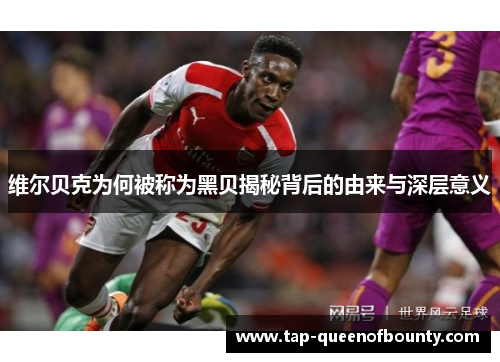 维尔贝克为何被称为黑贝揭秘背后的由来与深层意义 维尔贝克为何被称为黑贝揭秘背后的由来与深层意义