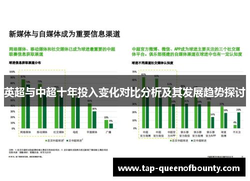 英超与中超十年投入变化对比分析及其发展趋势探讨
